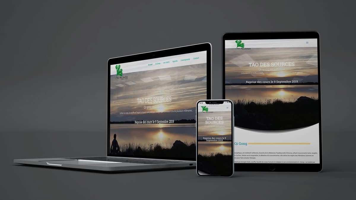 mockup de presentation du site tao des sources